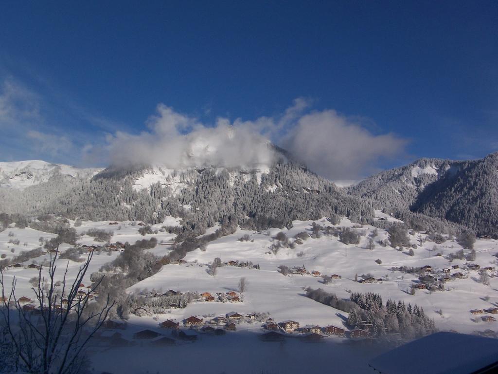 Hotel Les Bernards Praz-sur-Arly Exterior photo